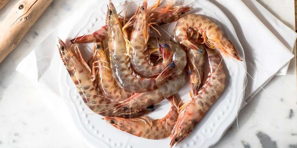 Fresh Live Catla Fish Wholesale