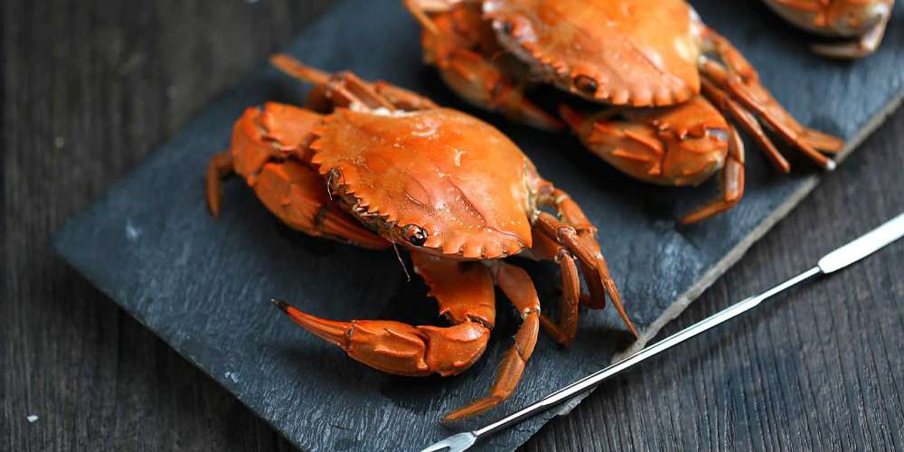 Fresh Live Catla Fish Wholesale