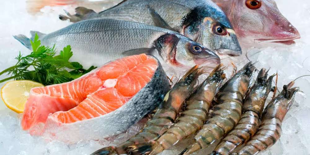 Fresh Live Catla Fish Wholesale